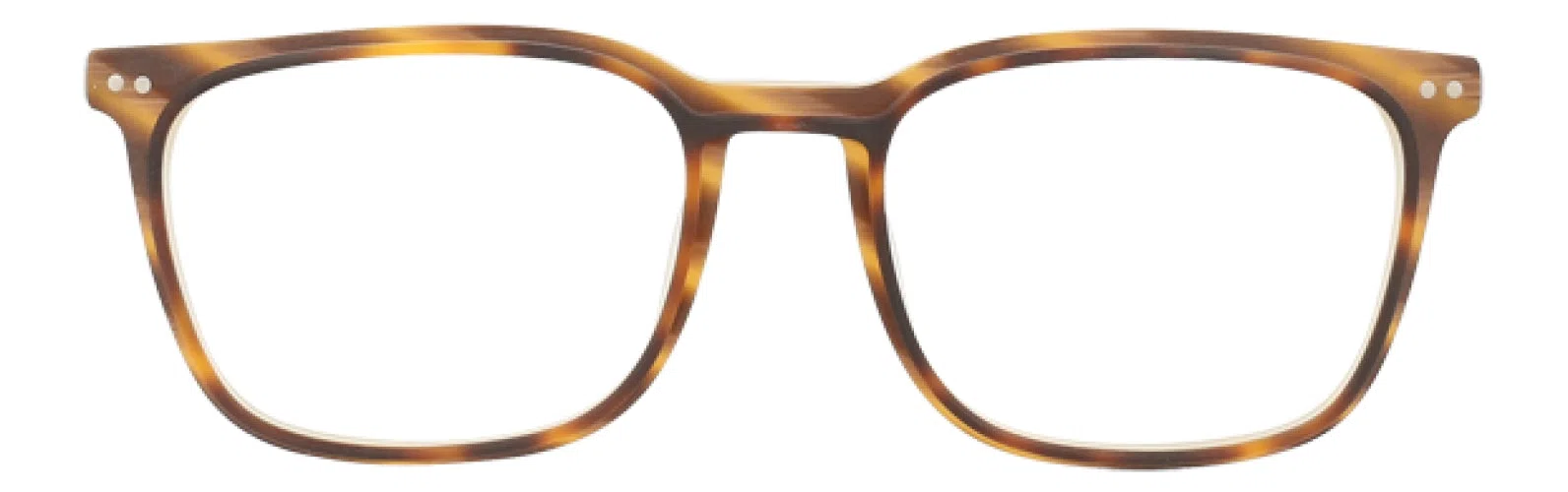 Life Is Good Caleb Eyeglasses - view 8
